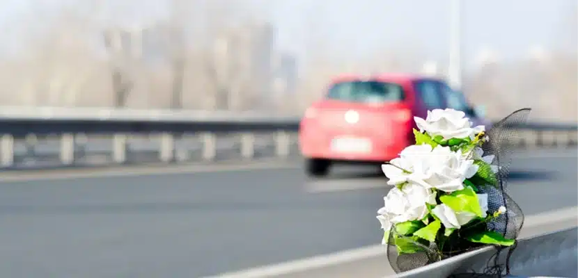 Alice Car Accident Lawyers img